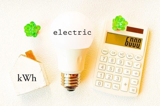 1人暮らしで「月8,000円」、“余った電気”を販売…私の「電気」の使い道