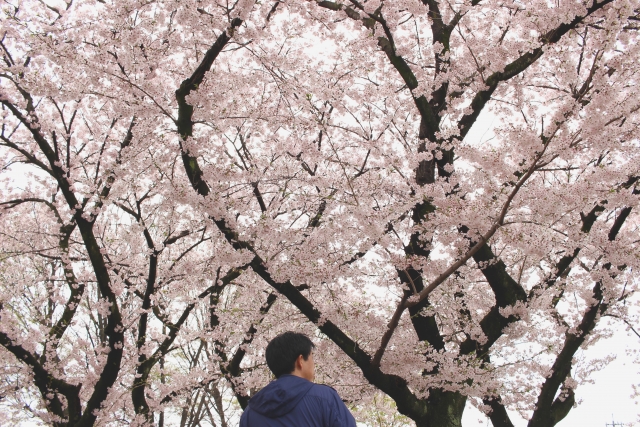 “離婚”して1人暮らしに…、毎日リモートから毎日出社に…春から変わる「私の生活」